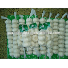 Fresh white garlic exporter in China/ Jinxiang fresh garlic/new crop fresh garlic